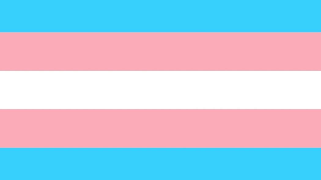 Bandera del orgullo trans.