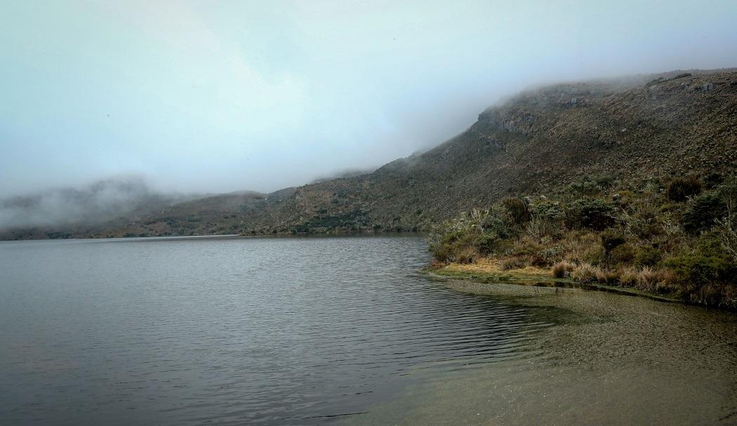 El IDPC invita a las lideresas de la zona rural de las localidades de Santa Fe y Chapinero, a un encuentro para dialogar en torno al patrimonio Natural. Foto: IDPC.