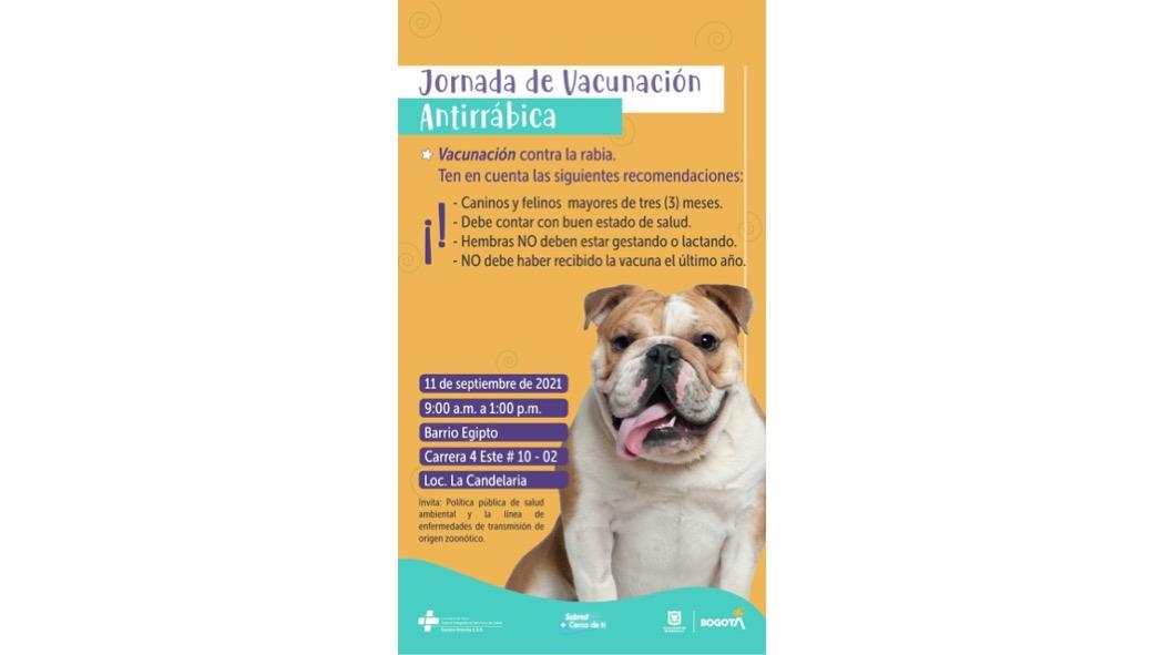 La jornada antirrábica se realizará en el barrio Egipto de 9:00 a.m. a 1 p.m. Pieza: Subred Centro Oriente.