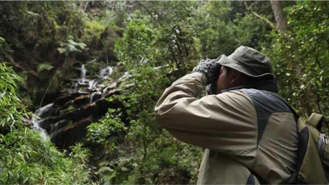 Los ciudadanos y ciudadanas pueden visitar https://ambientebogota.gov.co/es/caminatas-ecologicas y conocer el cronograma en detalle. Foto: Secretaría de Ambiente.