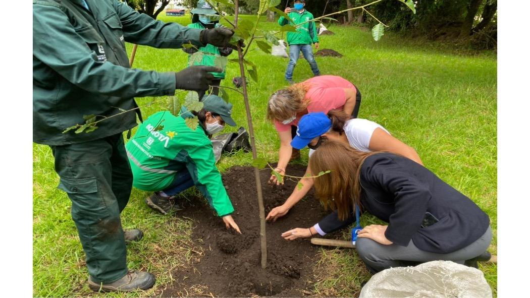 ¿Dónde hay jornadas de plantación esta semana en Bogotá?