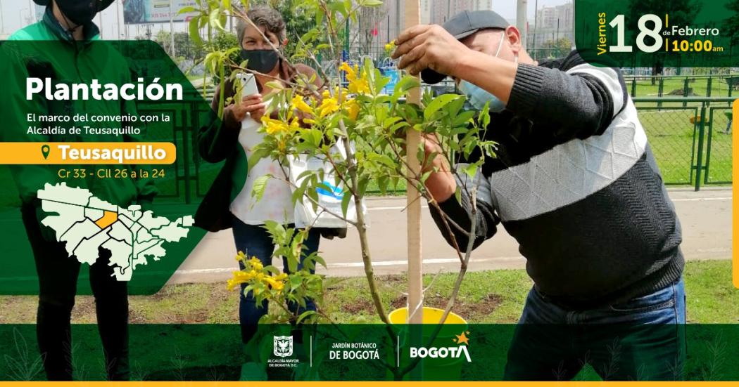 18 de febrero: Gran plantación de árboles en el barrio la Gran América