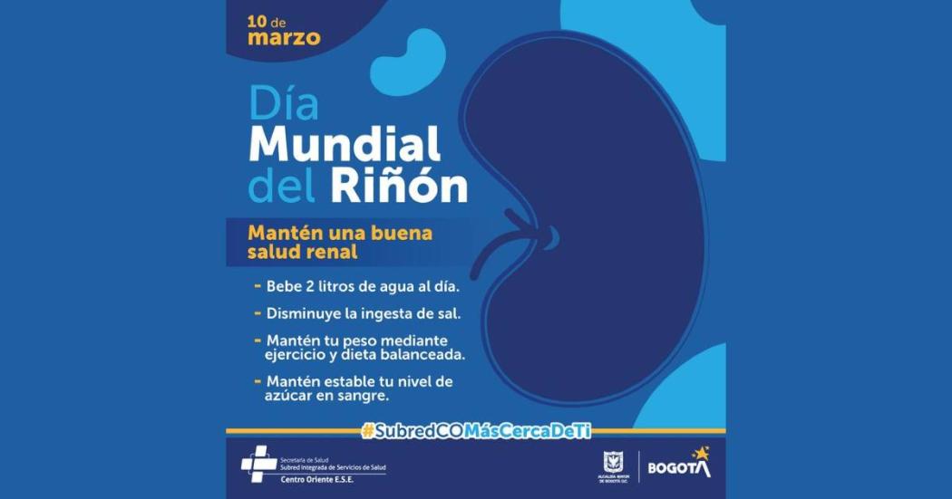 Día Mundial del Riñon. Charla recomendaciones para cuidar este órgano