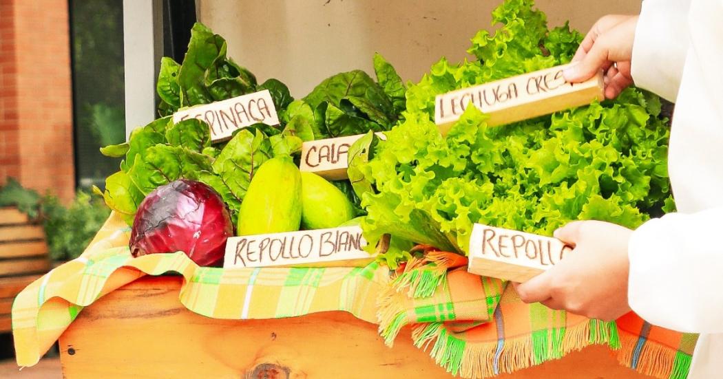 5 y 6 de marzo: Mercados campesinos en el Jardín Botánico de Bogotá