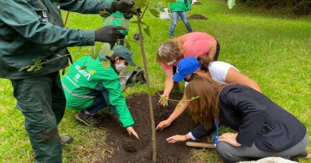 Cronograma de actividades de la Semana Ambiental en Bogotá