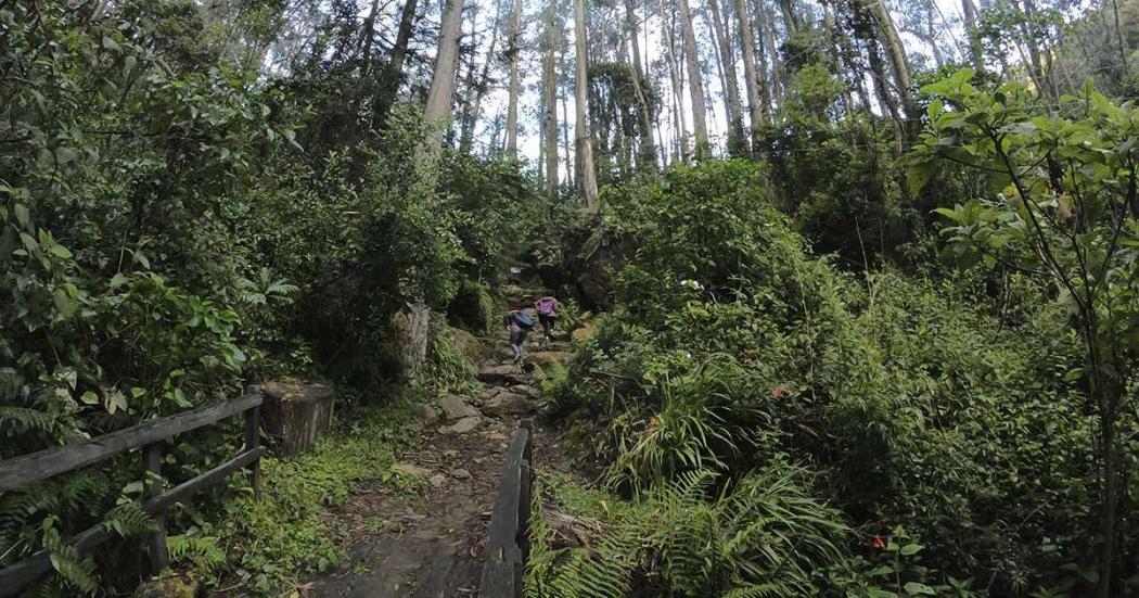 Caminata ecológica a la quebrada La Vieja el 2 de junio: programación