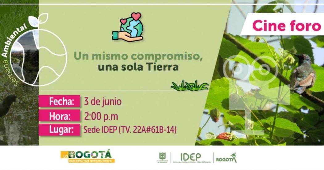 Cine foro gratuito del IDEP