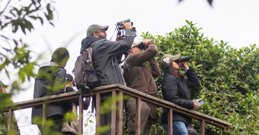 Jornada de avistamiento de aves en el October Big Day 2022 en Bogotá