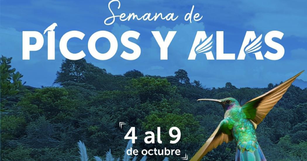 Hoy es sábado de Picos y Alas ¡Asiste al jardín Botánico y participa!