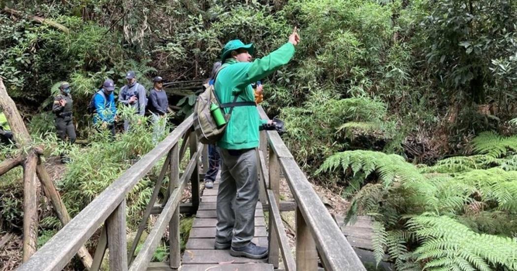 Separa tu cupo para las caminatas ecológicas gratuitas de diciembre