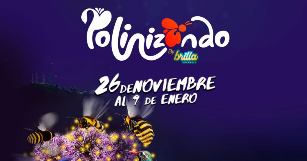 “Polinizando”: recorrido por el mágico mundo de los polinizadores