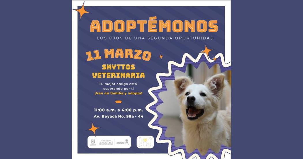 Jornada de adopción de animales sábado 11 de marzo de 2023, Bogotá