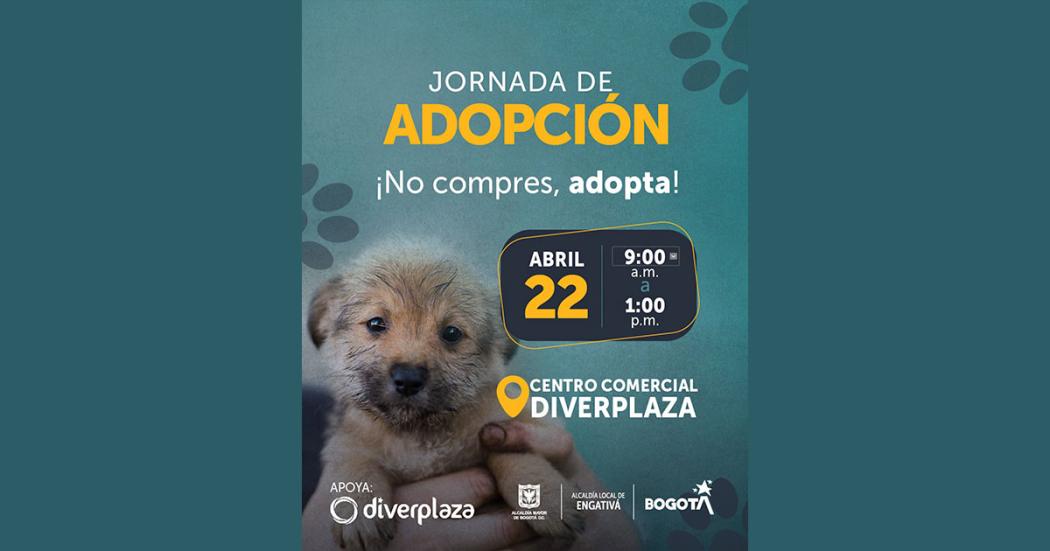 Conoce un nuevo amigo en la jornada de adopción el sábado 22 de abril