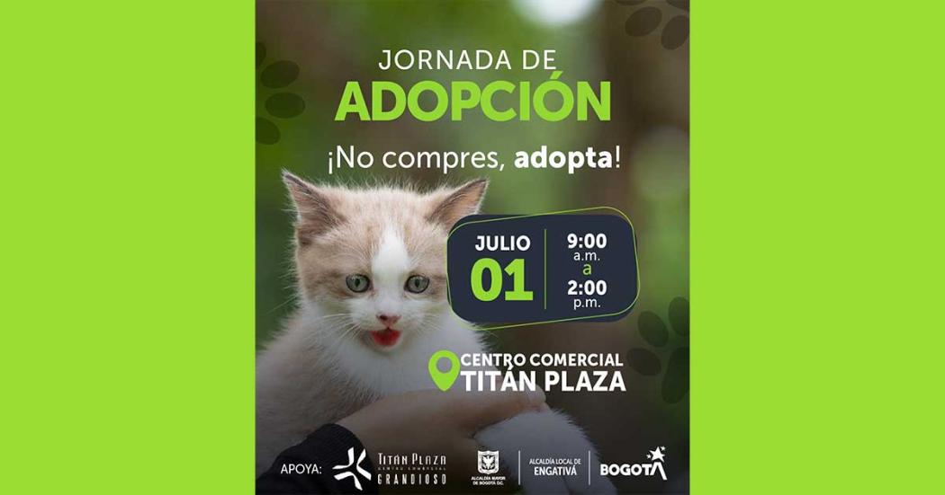 ¡Engativá! Conoce un nuevo amigo en la jornada de adopción animal el 30 de junio