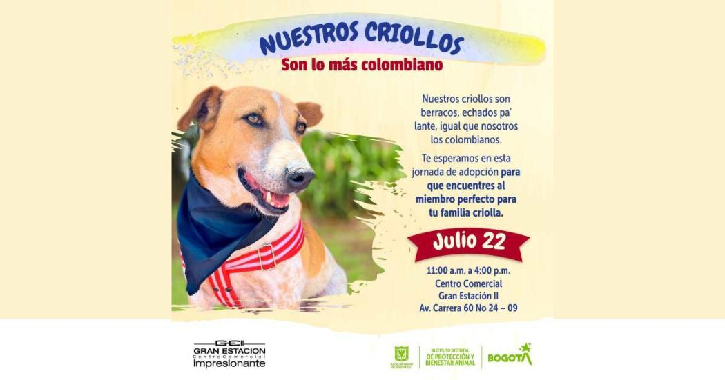 Jornada de adopción de animales en c.c. Gran Estación este 22 de julio