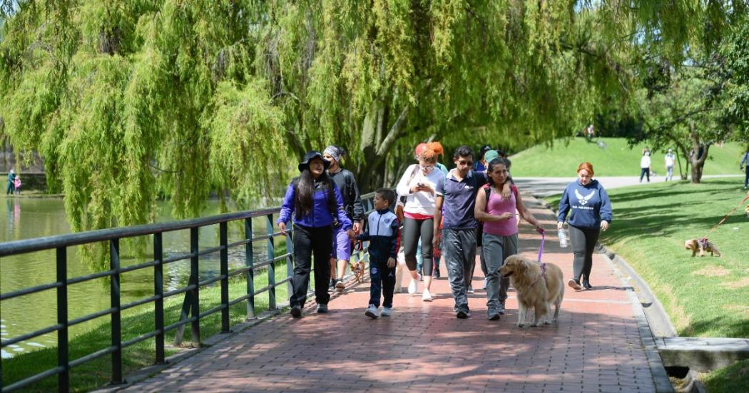 Caminando Ando – Bogotá reverdece 