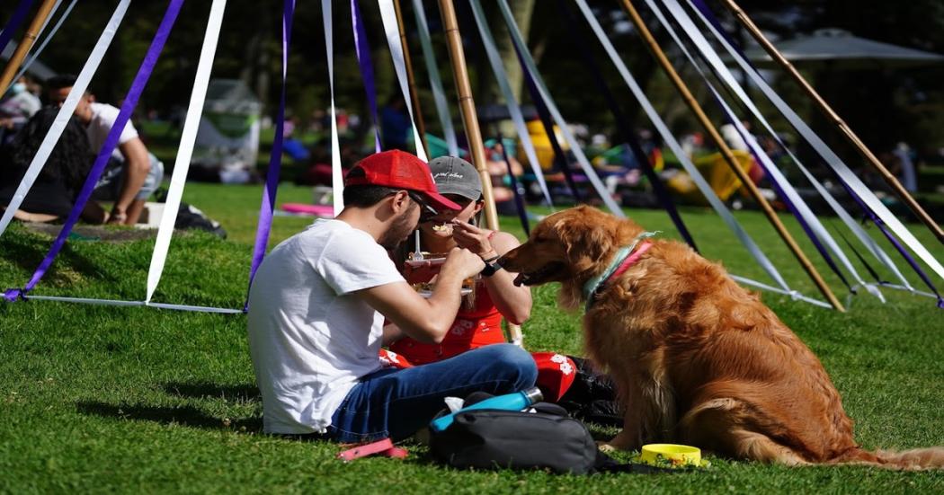 Festival Gastronómico en la programación del Festival de Verano 2023