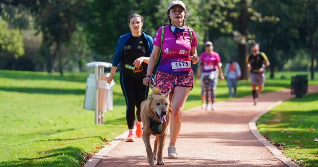 Nueva versión de la carrera atlética huellas 5K en Festival de Verano