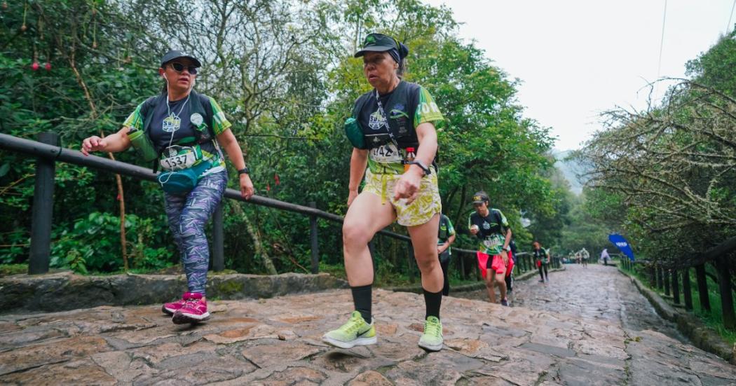 Ruta senderos - Bogotá Reverdece en el Festival de Verano de Bogotá