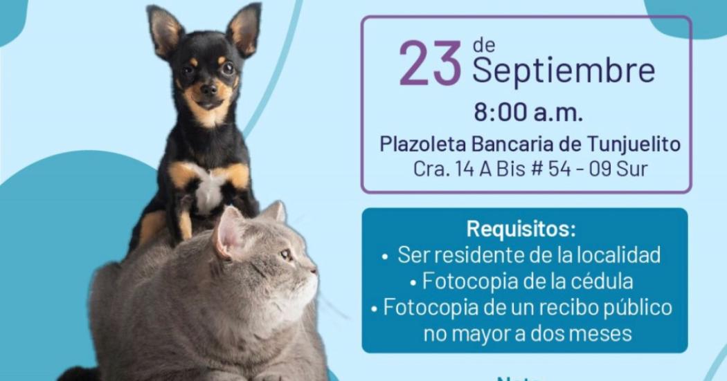 Esterilización 