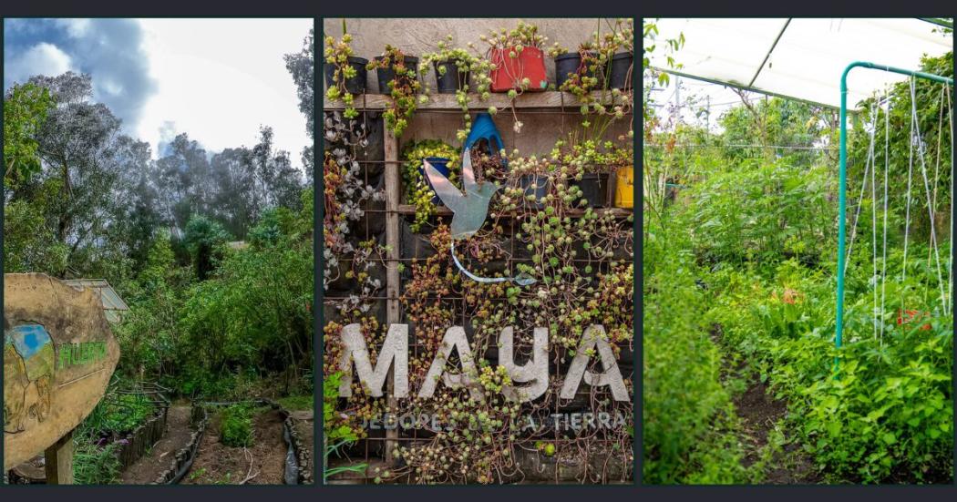 La quinta Ruta Agroecológica ha sido enmarcada bajo el lema “Vidas diversas”.