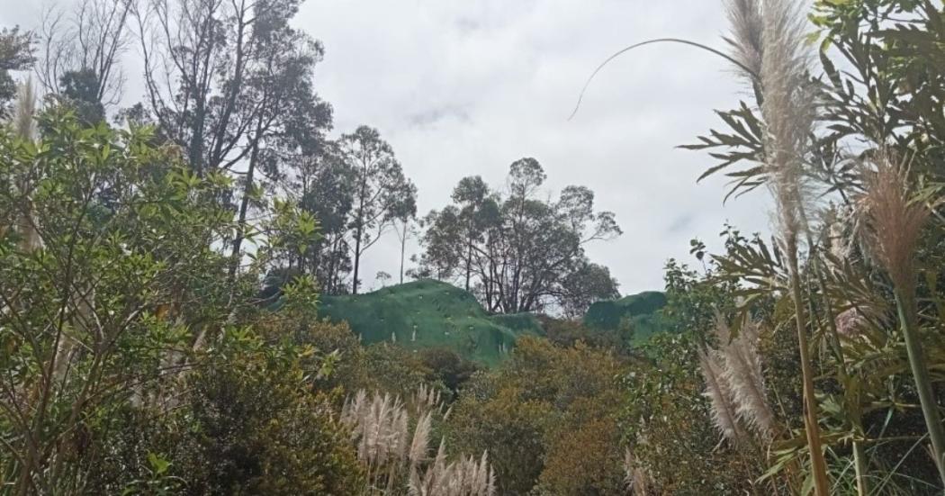 Caminatas Localidad Usaquén domingo 19 de noviembre con el IDRD Bogotá