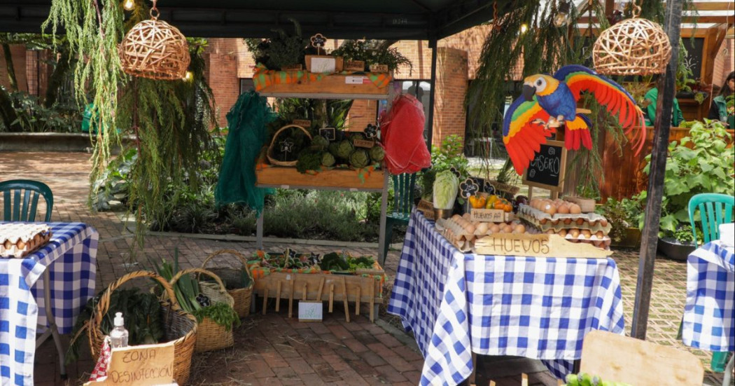 Este evento se desarrollará en la plazoleta exterior del Jardín Botánico.