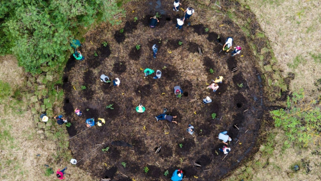 La reserva Thomas Van Der Hammen será el bosque urbano más grande de LATAM.