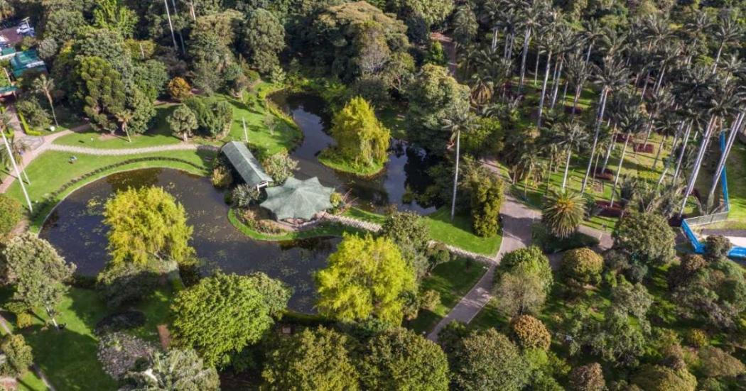 Actividades en el Jardín Botánico de Bogotá el 27 de enero 