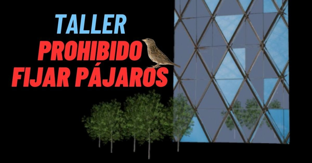 Taller Prohibido fijar pájaros en la Cinemateca de Bogotá 