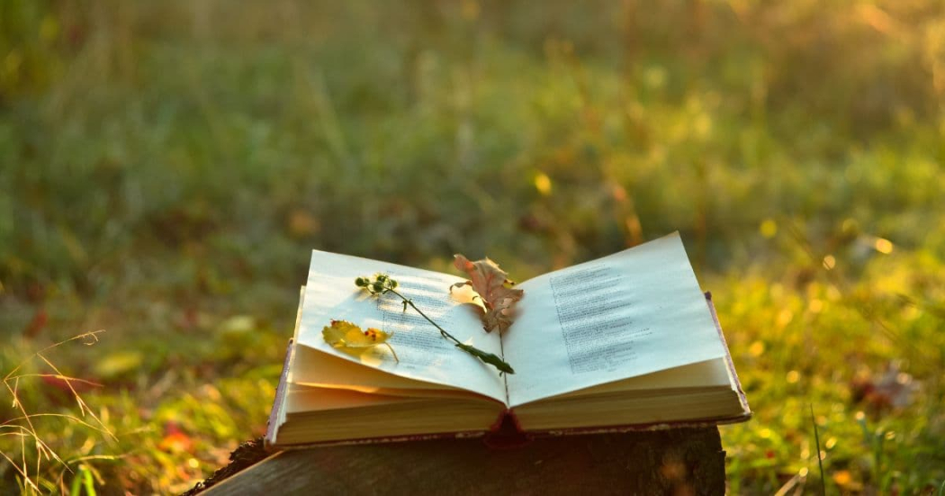 Febrero 29: actividad literaria en el Jardín Botánico de Bogotá 