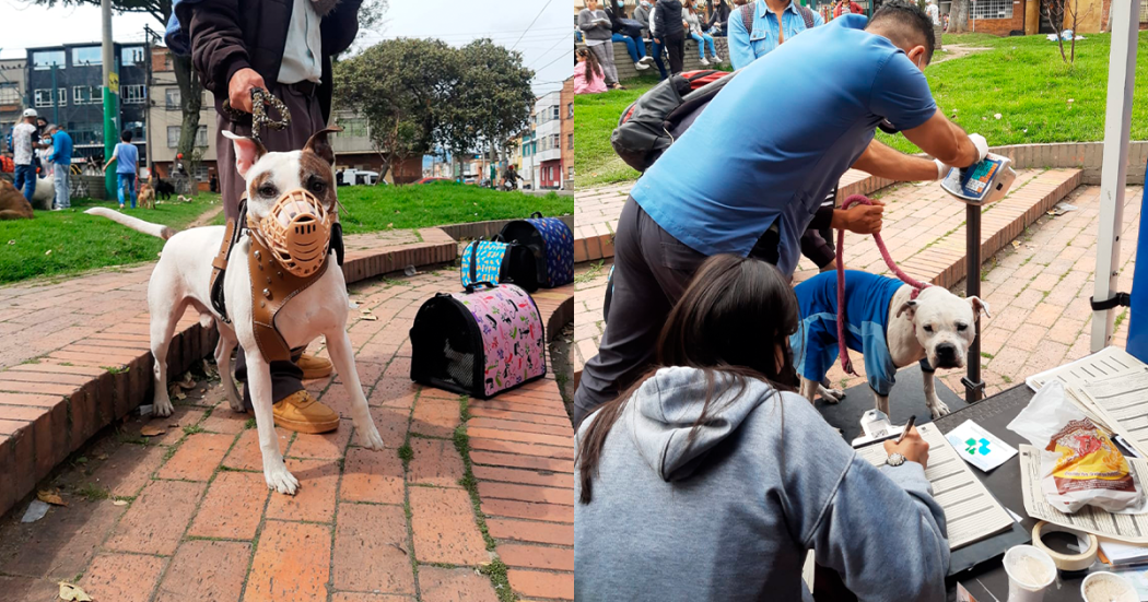 ¡Ojo! El 16 de marzo hay brigada médico veterinaria para mascotas en Santa Fe