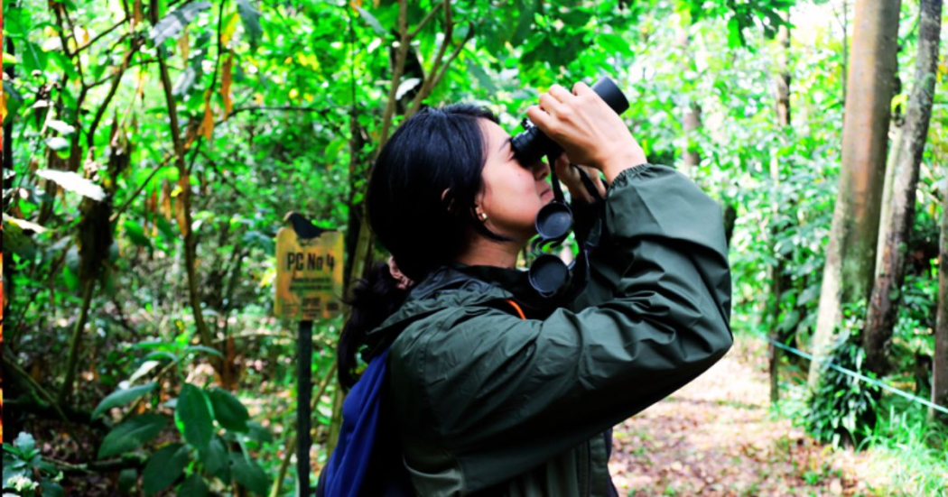 Mayo 12: caminata ecológica por el Parque Metropolitano Bosa El Recreo