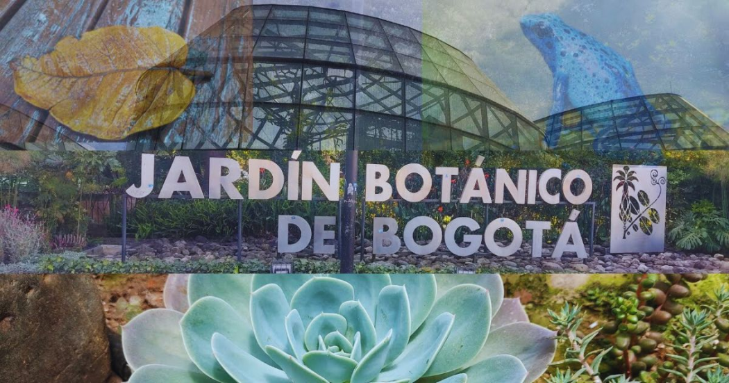 Actividades del Jardín Bogotá 