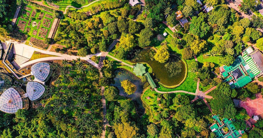 Jardín Botánico de Bogotá: actividades 15 de junio 