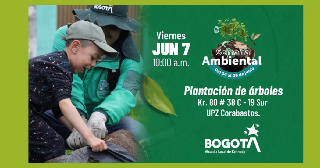 Semana Ambiental: Jornada de plantación de árboles en Kennedy