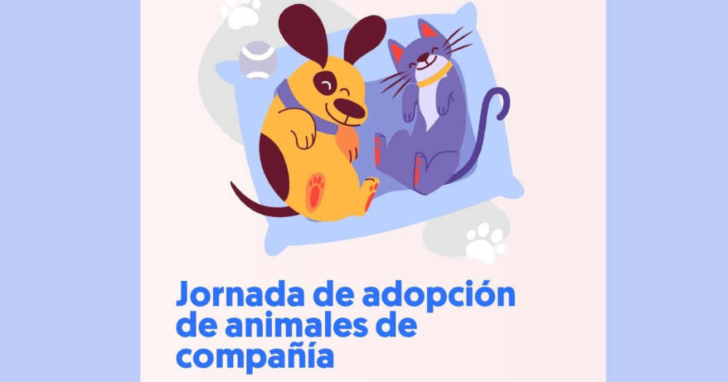 Jornada de adopción en Bogotá de perros y gatos 26 de junio 2024 