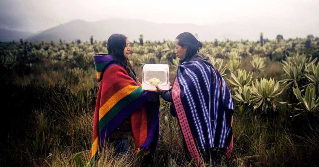 Planes en Bogotá con exposición Territorios de agua