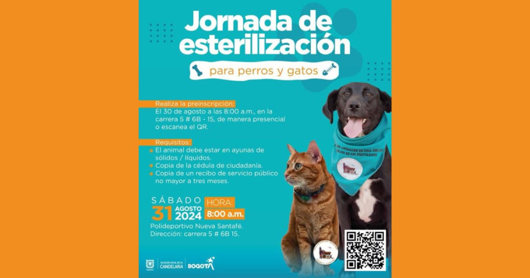 Esterilización de mascotas en Bogotá asiste a jornada sábado 31 agosto