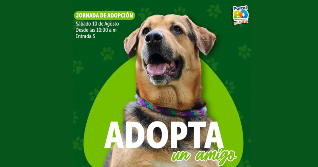 Jornada de adopción perros y gatos en Bogotá sábado 10 de agosto 2024