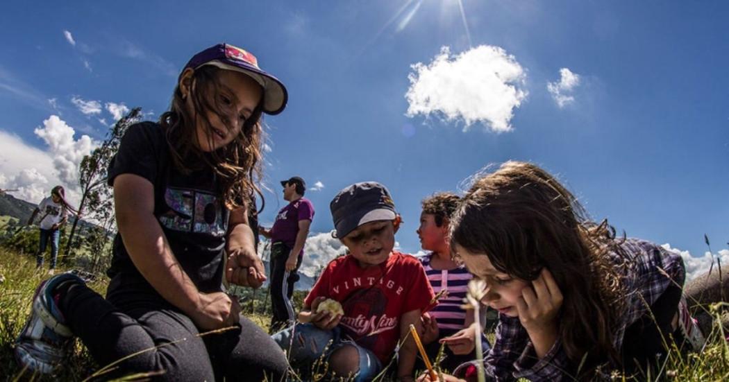 Inscríbete club de ciencias con el Jardín Botánico Bogotá 2025