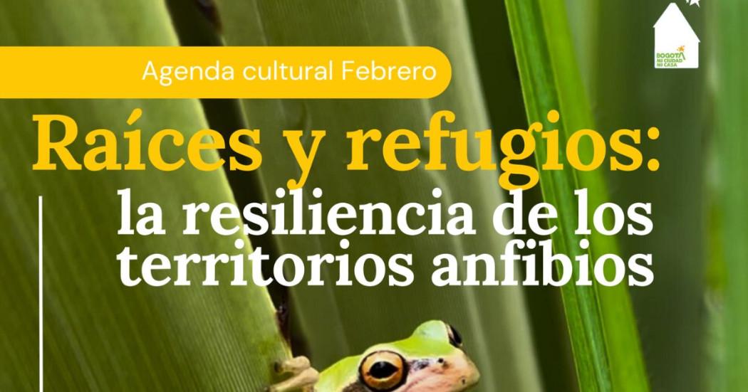 Planes en Bogotá con eventos en Jardín Botánico durante febrero 2025 