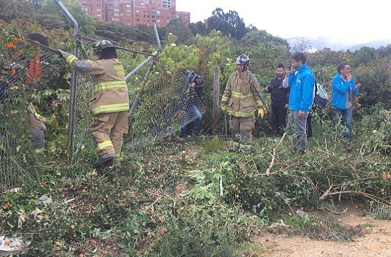 Recuperacion de humedales - Foto: Prensa Secretaría de Ambiente