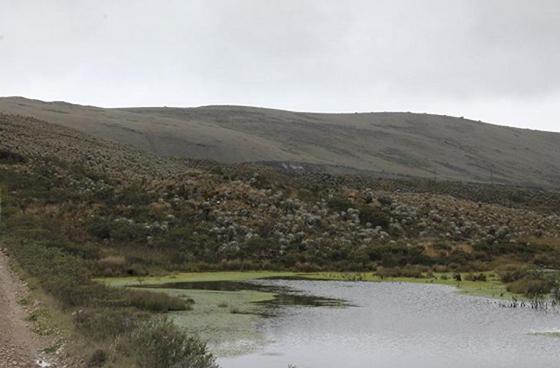 Avanza el trabajo para la protección del medio ambiente en la localidad de Sumapaz