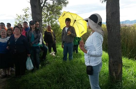 Recorrido humedal Tibanica-Foto: Alcaldía Local de Bosa 