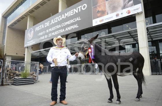 Feria de las Colonias - Foto: Corferias