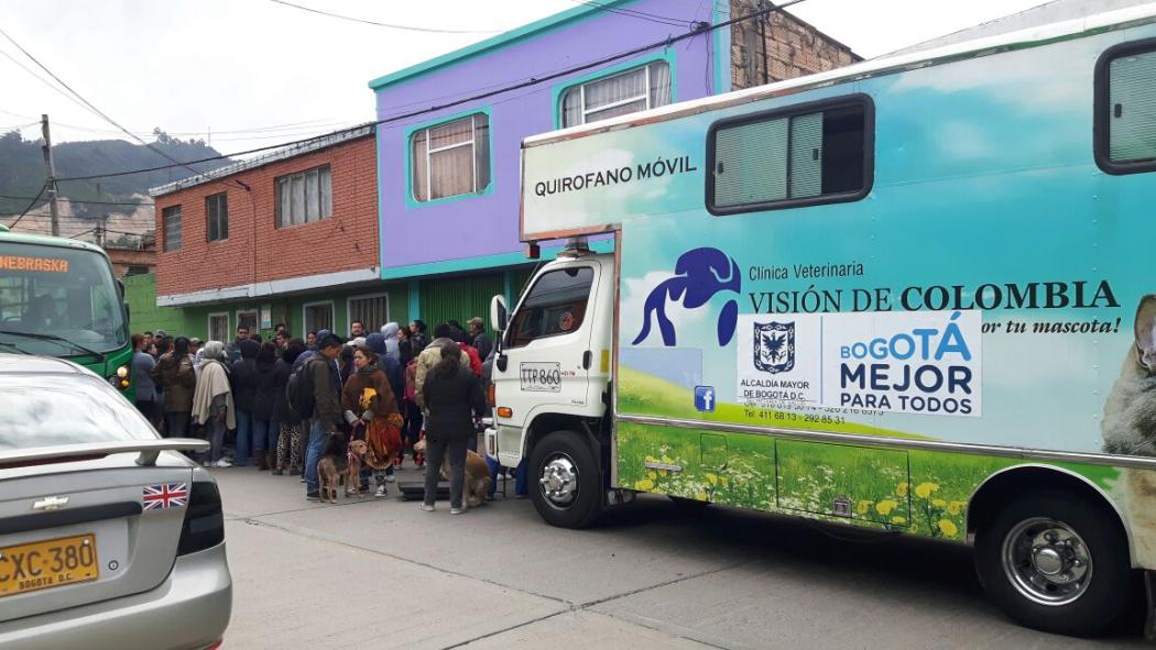 Esterilización de mascotas - Foto: Gerencia de Protección Animal