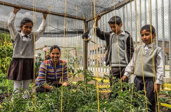 Huertas escolares, un proyecto para crear conciencia estudiantil