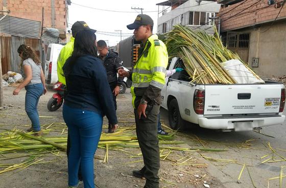 Dos capturados y más de 1500 kilos de palma de vino incautados en Bogotá