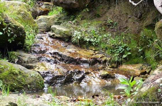 Realizan “Encuentro por el Agua: Reconcíliate con la vida” en Usaquén